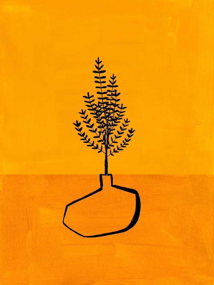 Une plante minimaliste aux teintes chaudes - Ejaaz Haniff