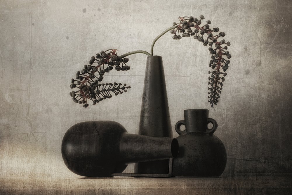Nature morte aux baies noires - Elena Arjona