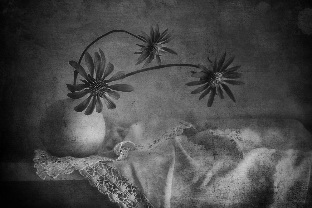 Nature morte florale sombre - Elena Arjona