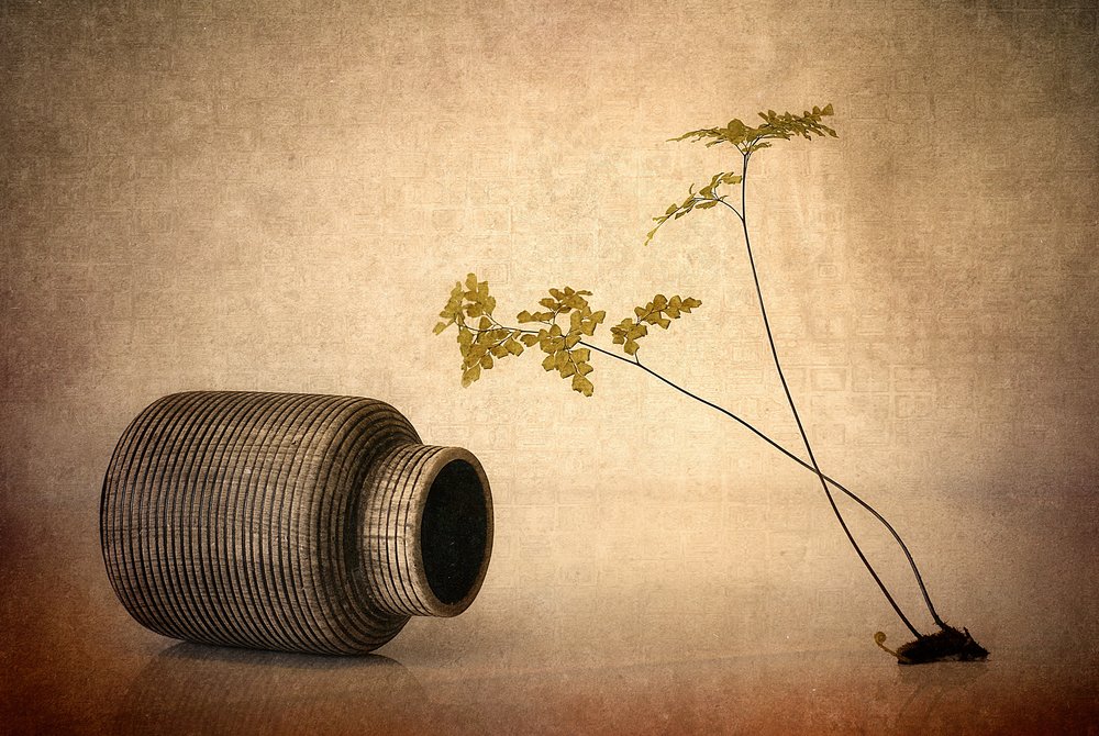 Vase aux tons terreux et fougère - Elena Arjona