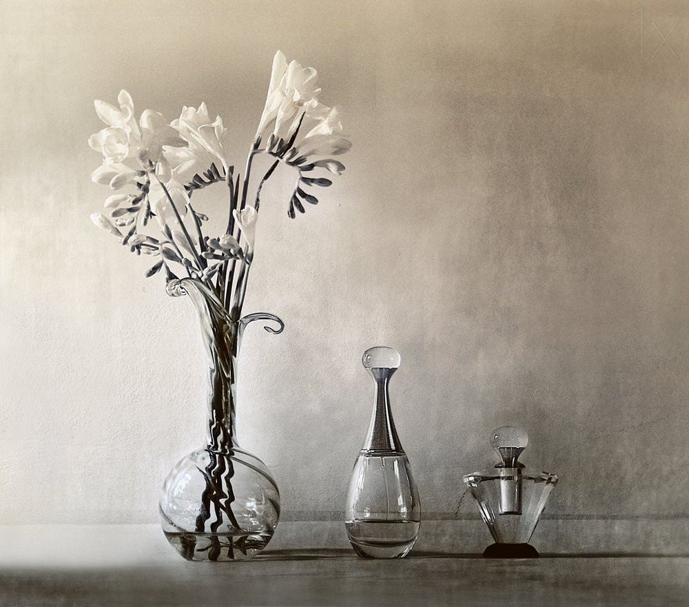 Fleurs et parfums raffinés - Elena Arjona
