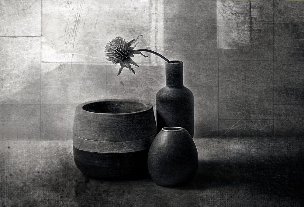 Navires « Moody Thistle » - Elena Arjona