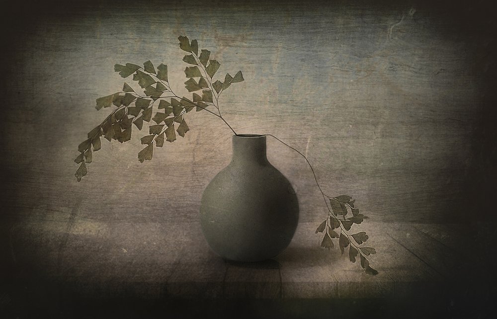 Nature morte à la fougère, une œuvre paisible - Elena Arjona