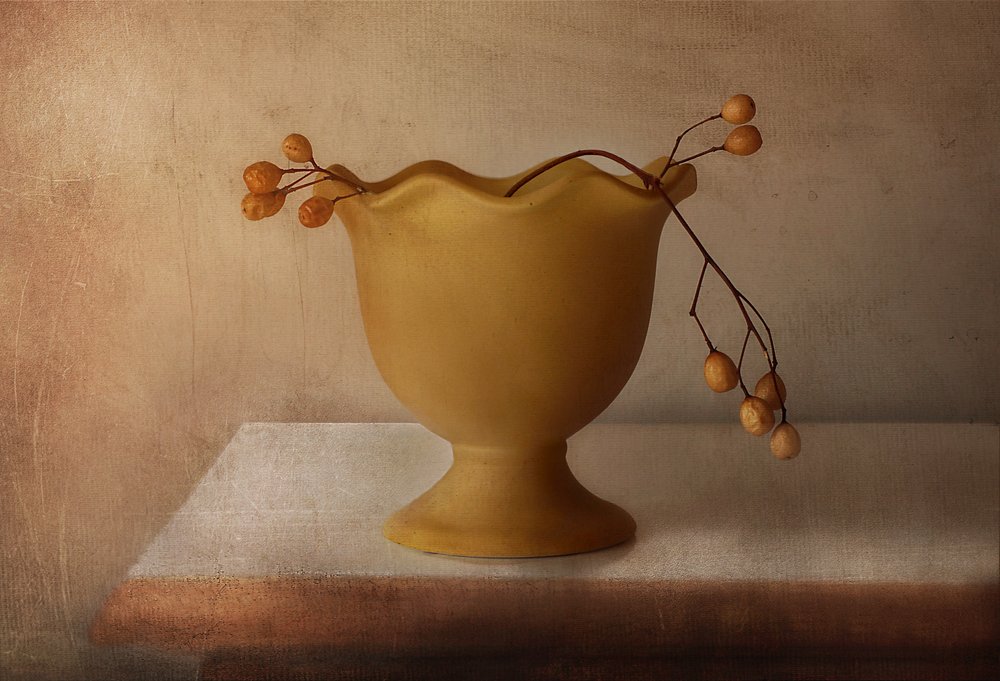 Nature morte aux baies rustiques - Elena Arjona