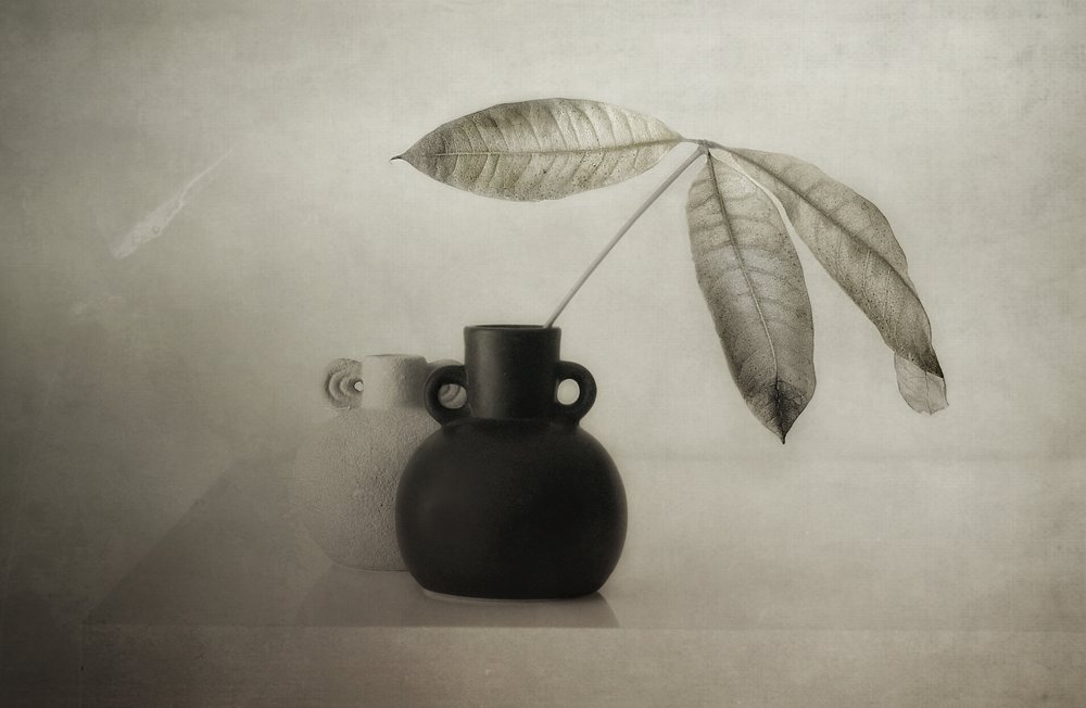 Nature morte botanique sereine - Elena Arjona