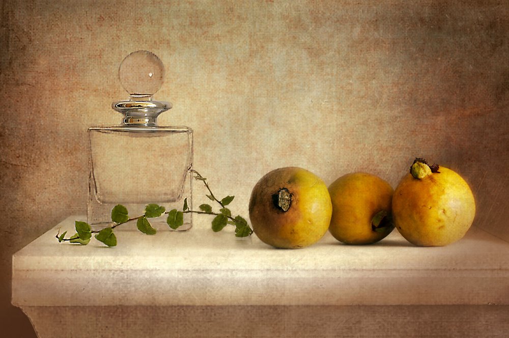Nature morte vintage à la goyave - Elena Arjona