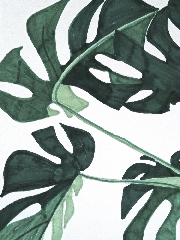 Monstera vert abstrait - Elizabeth C