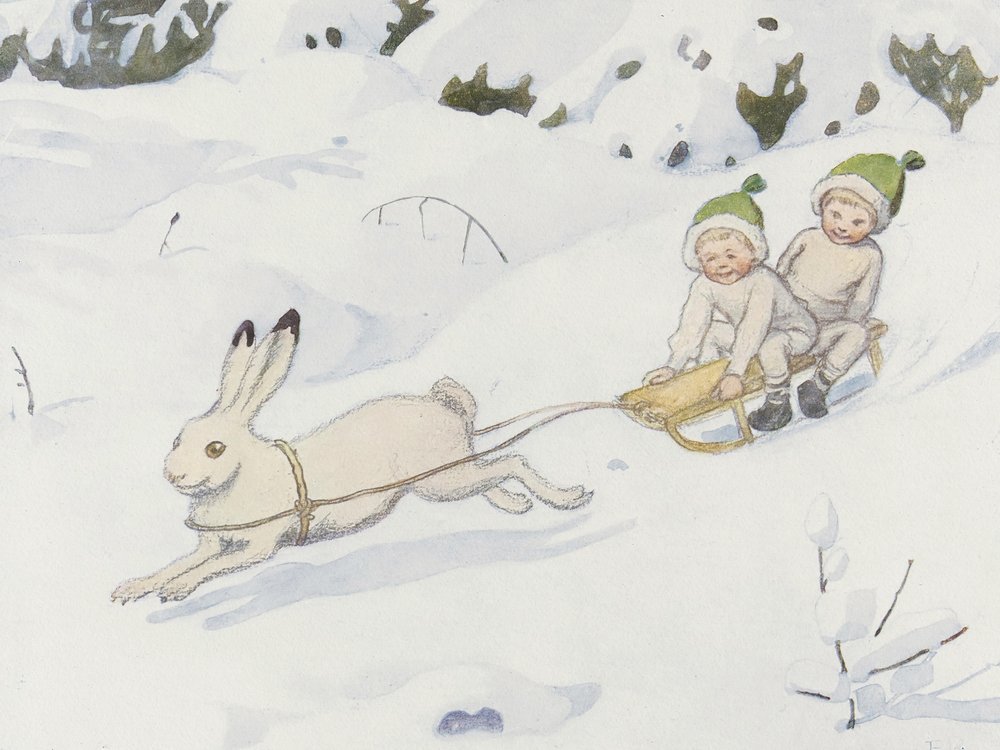 Le lièvre des neiges - Elsa Beskow