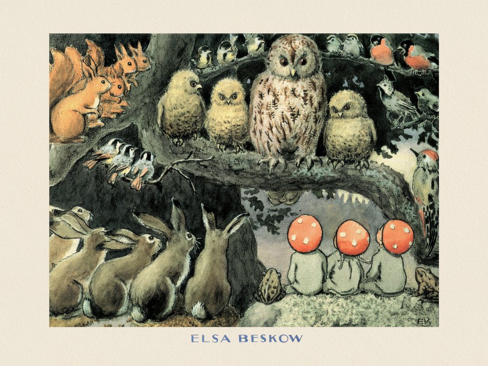 Les enfants du Père Noël  - Les animaux de la forêt Boarder - Elsa Beskow