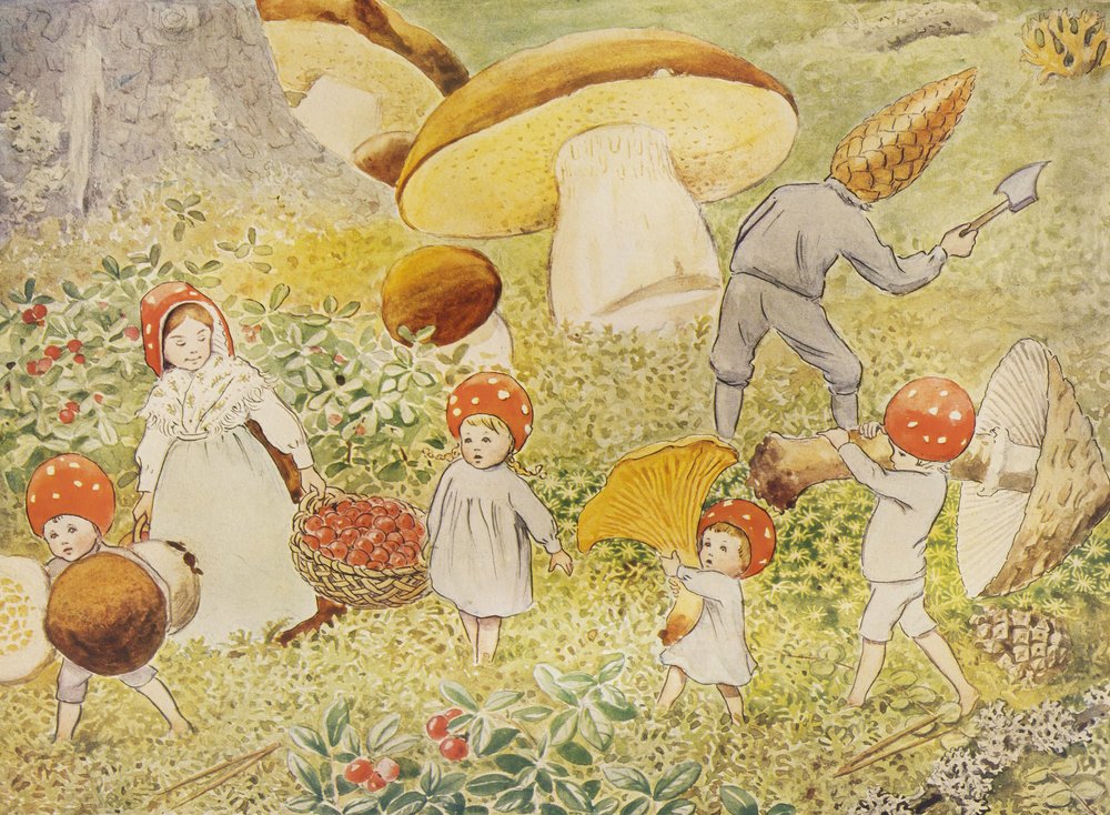 Les enfants du Père Noël : Mushroom Kids - Elsa Beskow