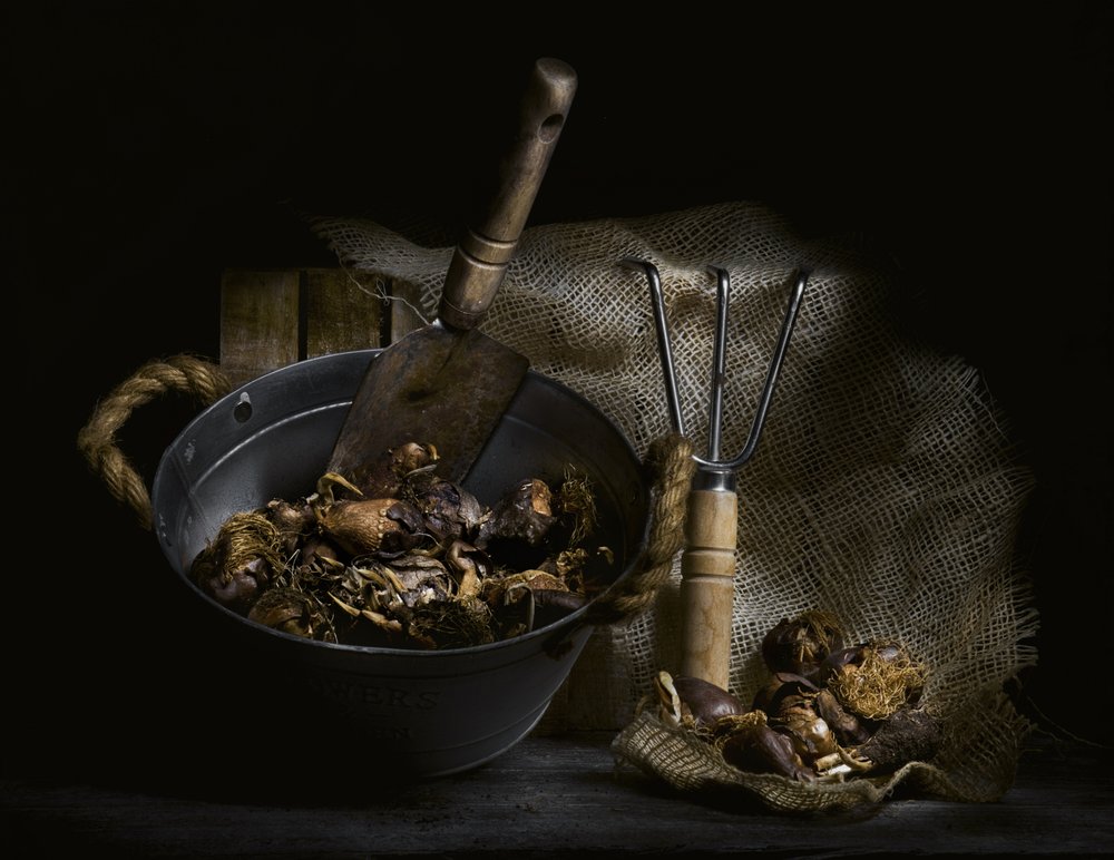 Champignons cueillis et outils - Enrico Sottocorna
