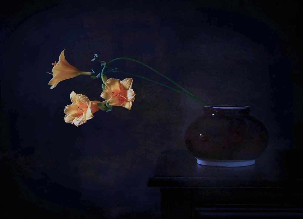 Éclat floral sombre - Fangping Zhou