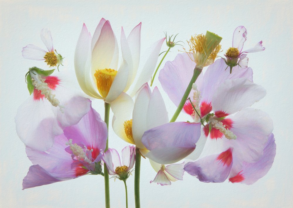 Composition florale éthérée - Fangping Zhou