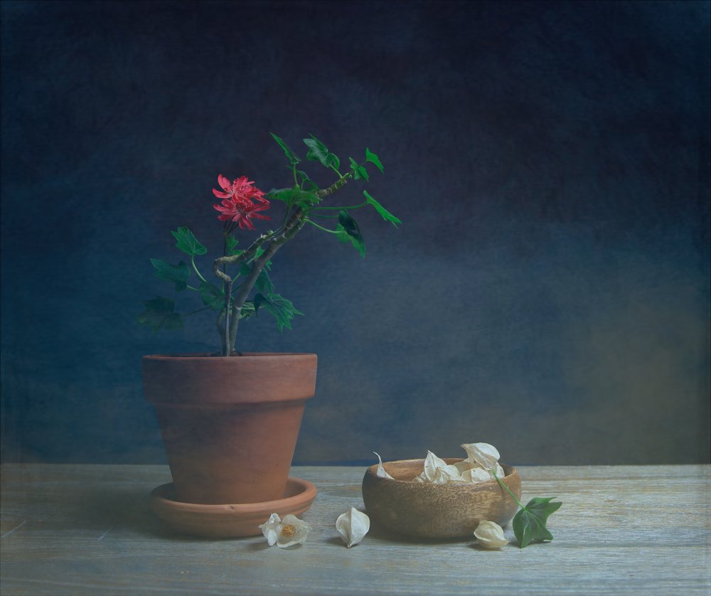 Fleur en pot « Moody » - Fangping Zhou