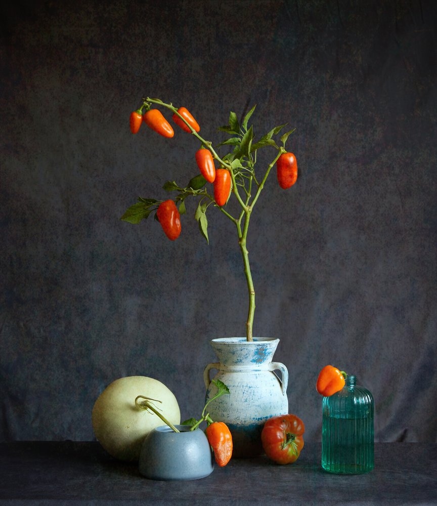 Nature morte rustique aux tomates orange - Fangping Zhou