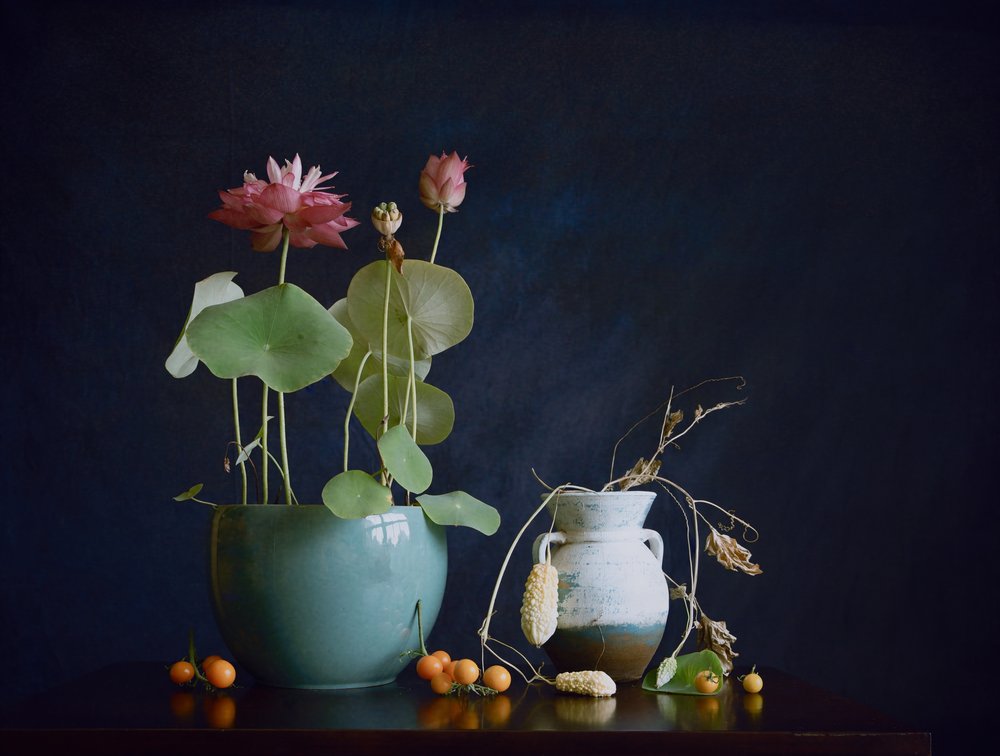 Nature morte au lotus rose - Fangping Zhou