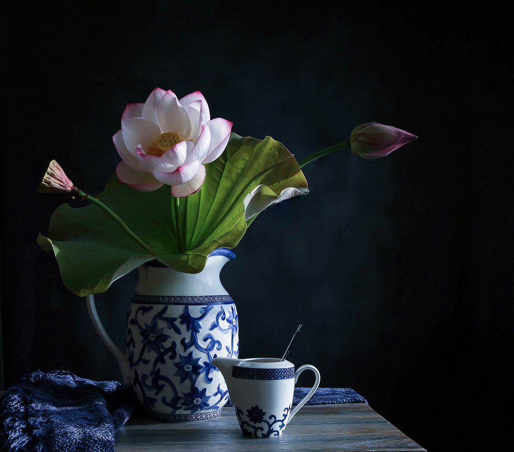 Composition « Lotus serein » - Fangping Zhou