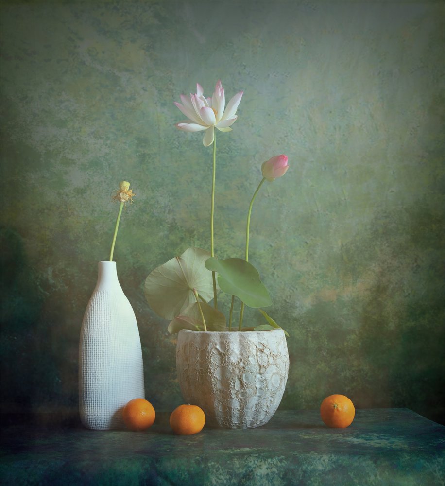 Nature morte au lotus serein - Fangping Zhou