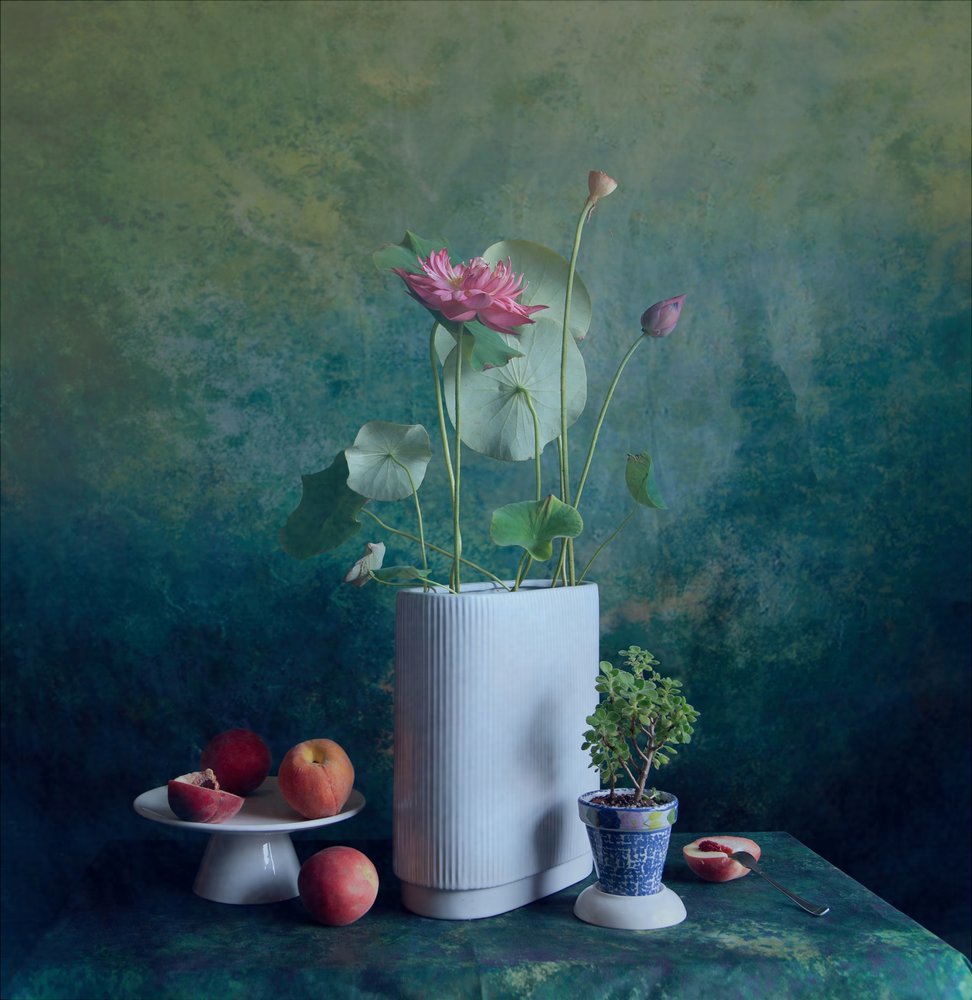 Nature morte au lotus serein - Fangping Zhou