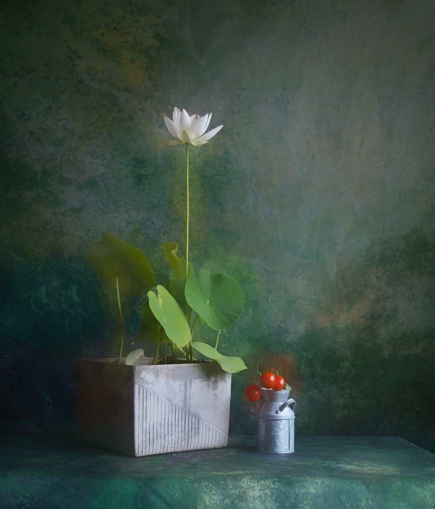 Nature morte au lotus blanc serein - Fangping Zhou