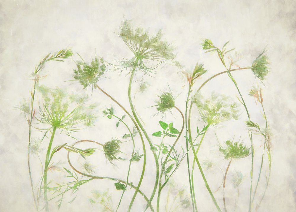 Soft Green Botanicals - Fangping Zhou