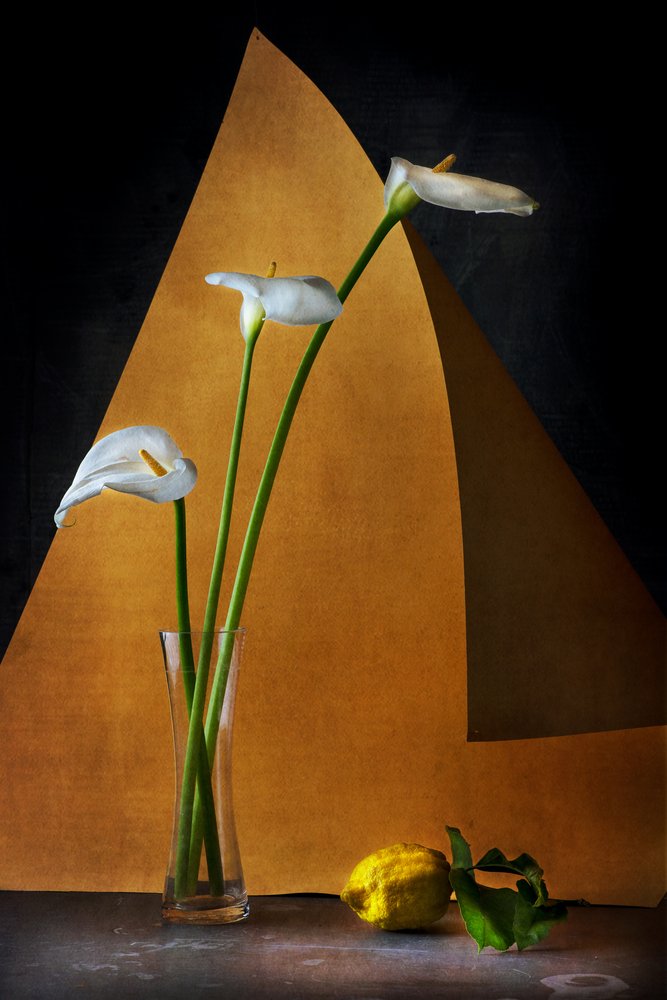  - Felice Angelino