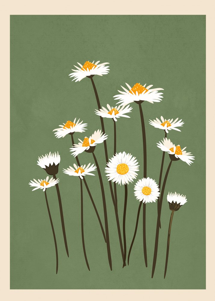 Des marguerites blanches sur fond vert - Flow Line