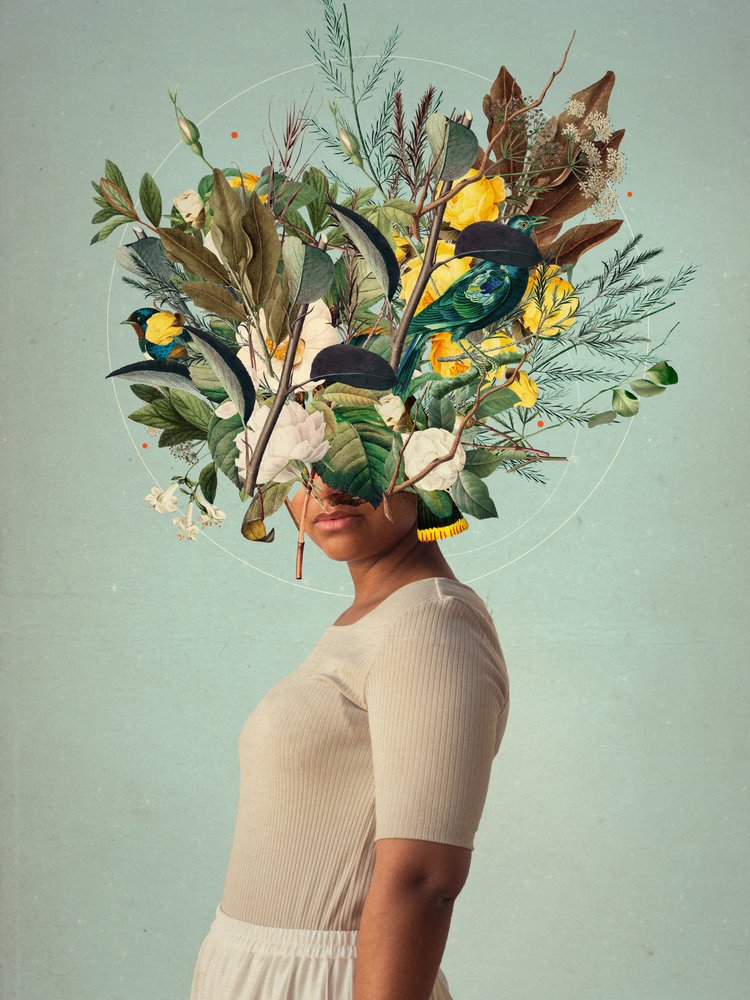  - Frank Moth