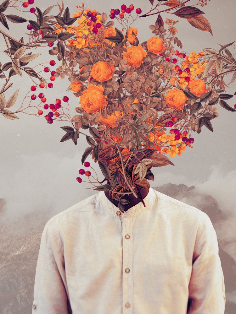  - Frank Moth