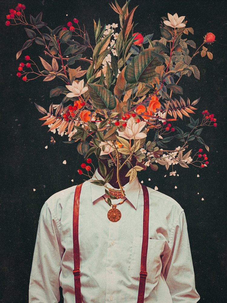  - Frank Moth