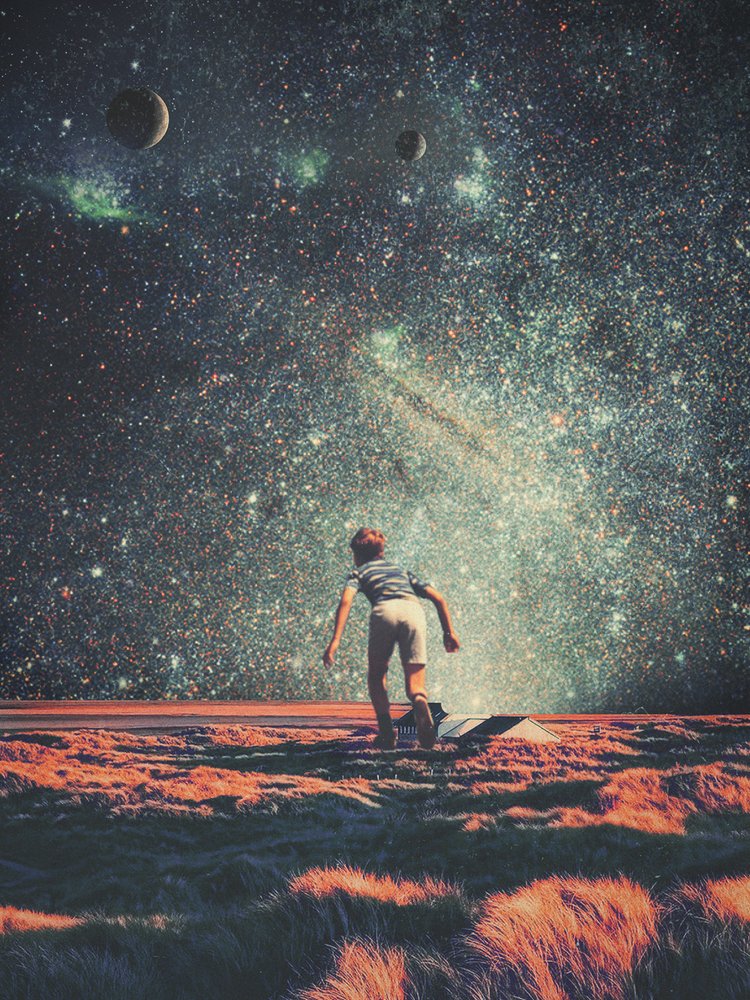  - Frank Moth
