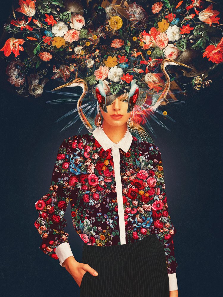 - Frank Moth