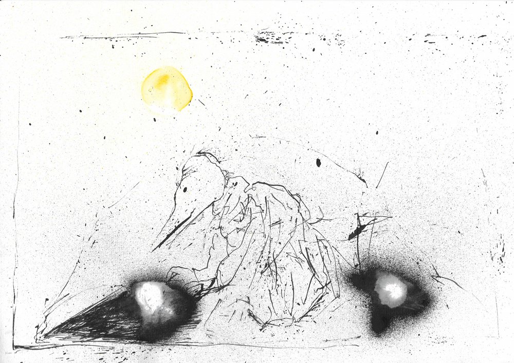 Mystérieuse silhouette au bec - Frederic Belaubre