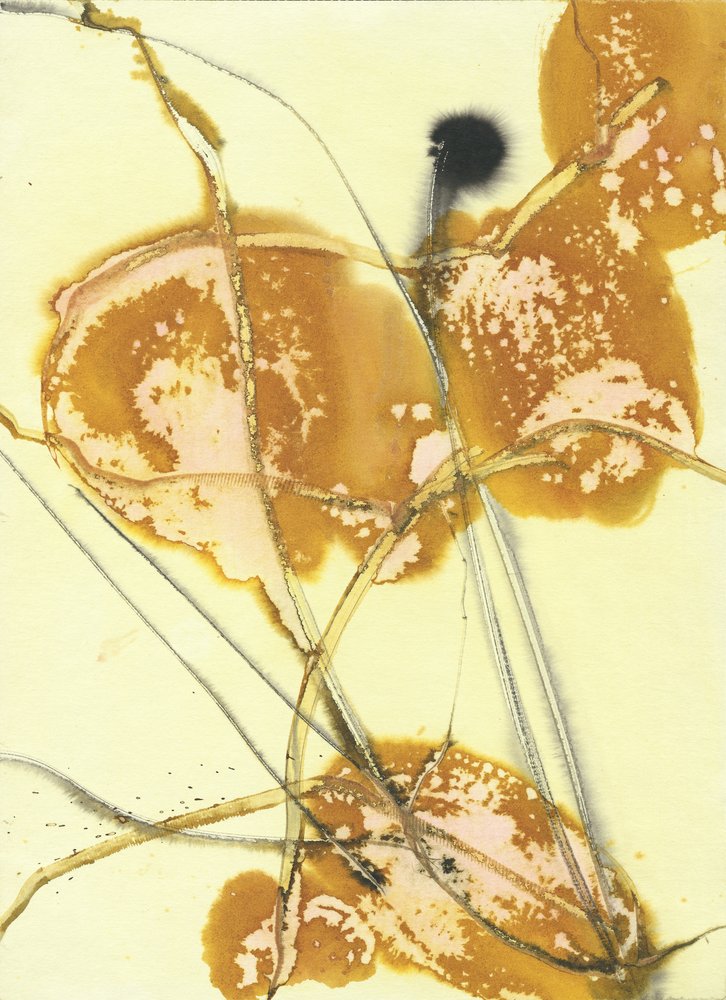 Shampoings bio Golden Washes - Frederic Belaubre