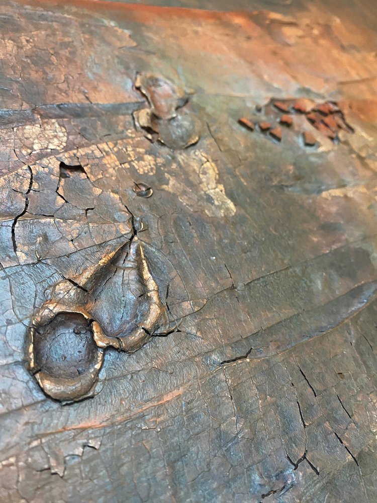  - Gabriela Aleksandra Szuba