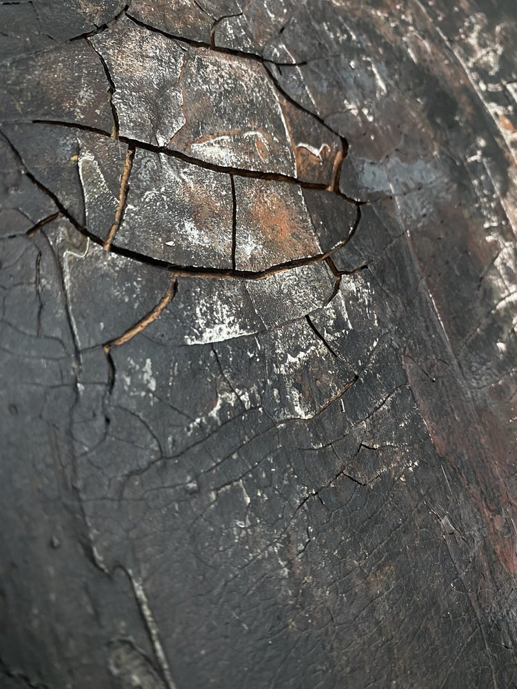  - Gabriela Aleksandra Szuba