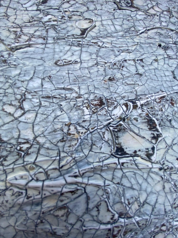  - Gabriela Aleksandra Szuba