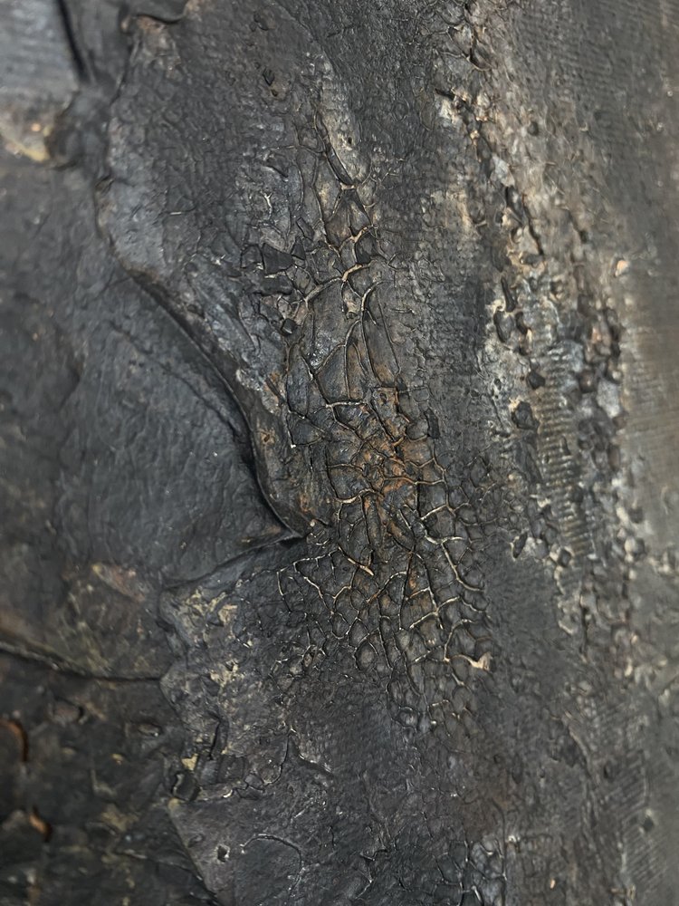  - Gabriela Aleksandra Szuba