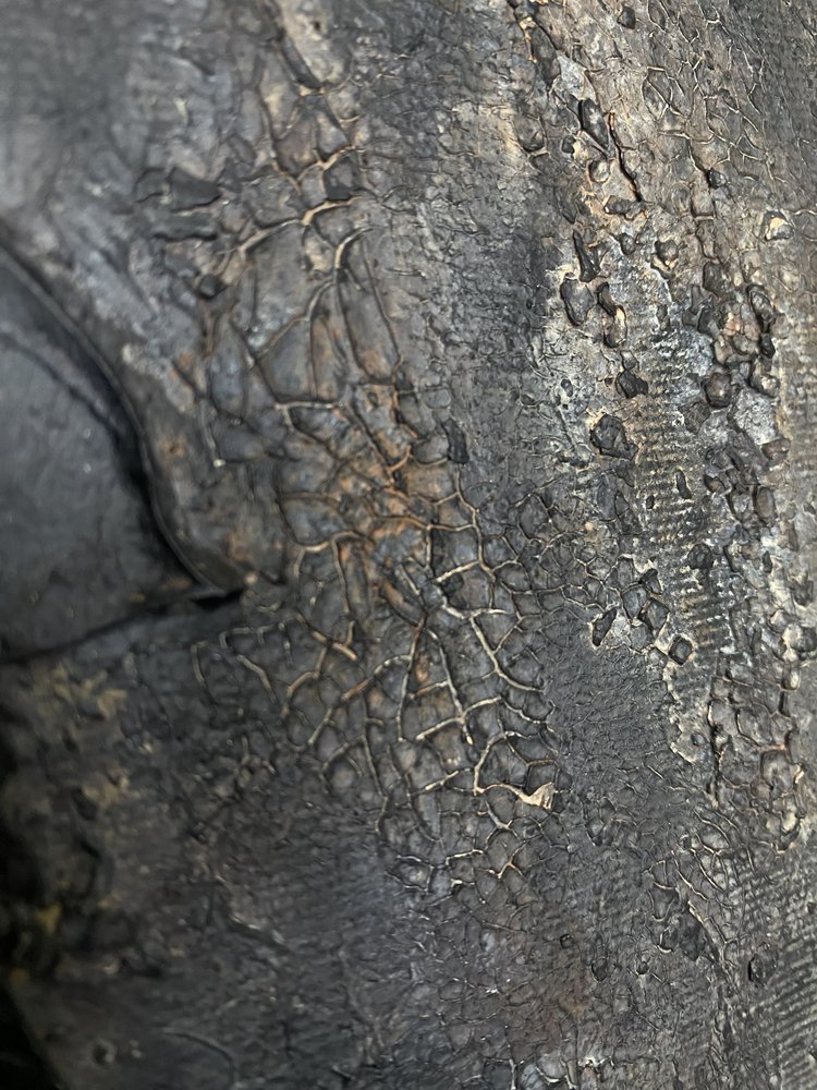  - Gabriela Aleksandra Szuba