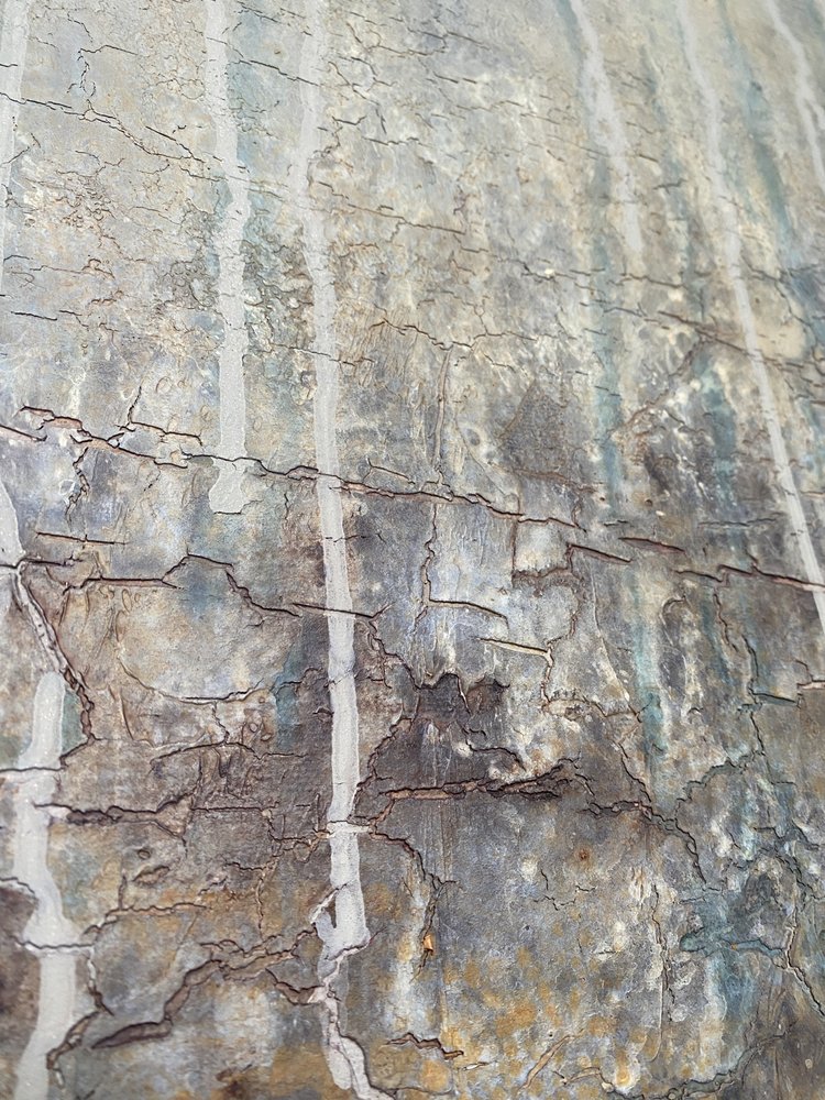  - Gabriela Aleksandra Szuba