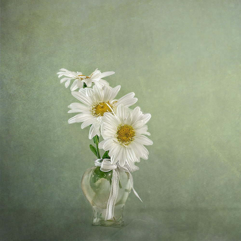  - Gaille Gray