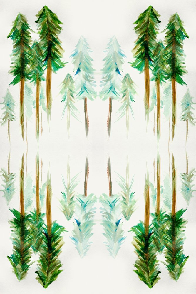 Forêt de pins en miroir - Gemma Bardot