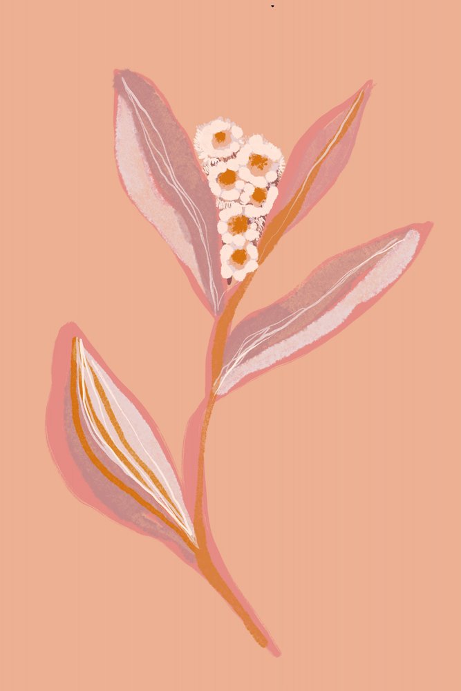 Fleurs de pêcher en pleine floraison - Gemma Bardot