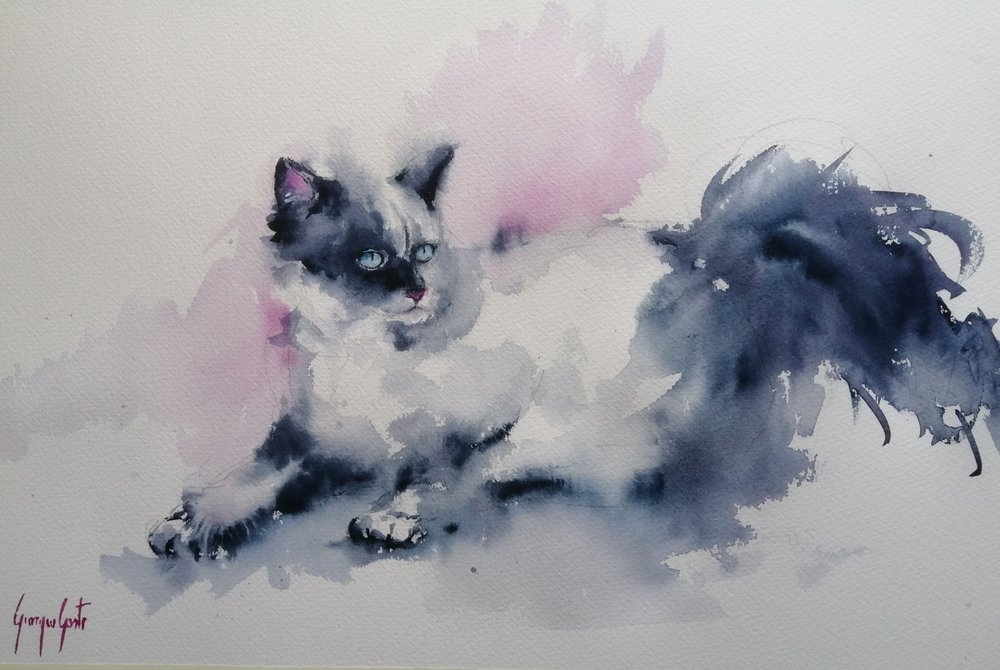 Chat aux yeux bleus peint à l