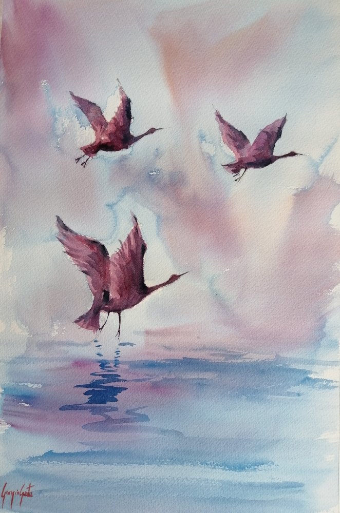 Gracieux oiseaux roses - Giorgio Gosti