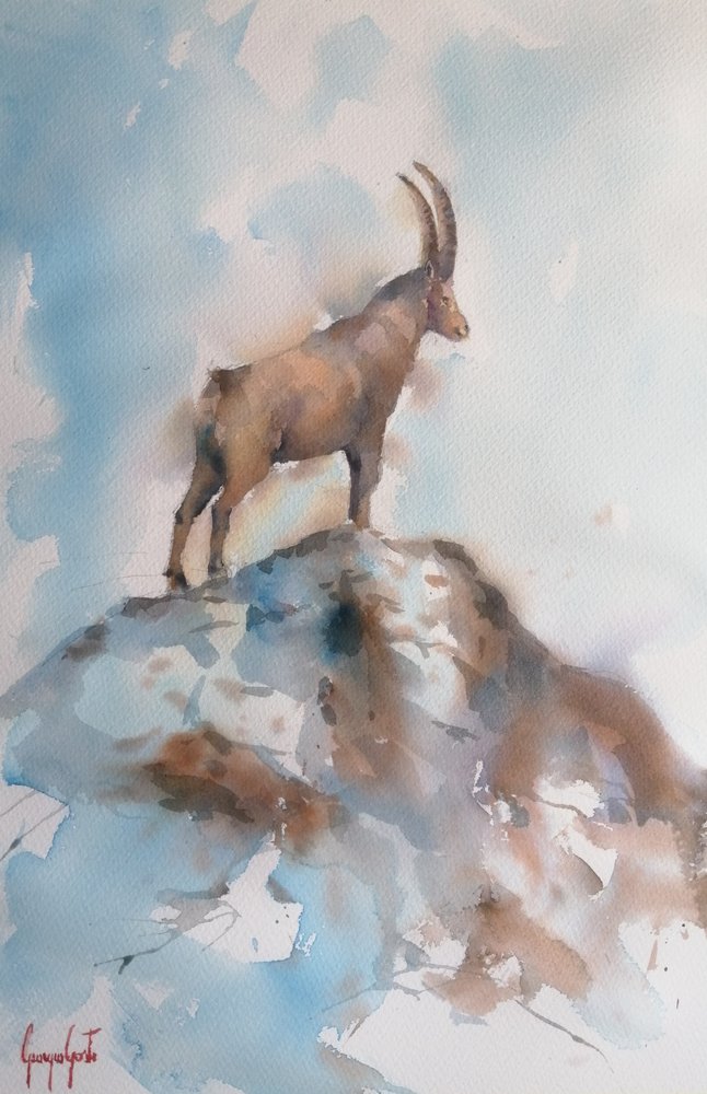 Le majestueux bouquetin des Alpes - Giorgio Gosti