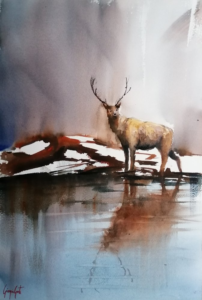 Cerf en hiver - Giorgio Gosti