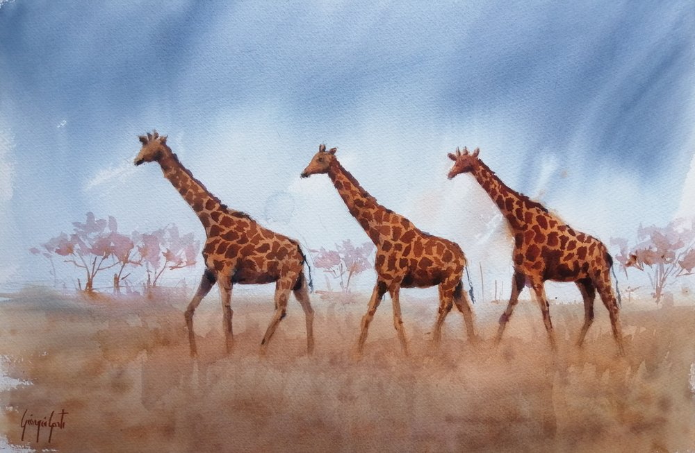 Trio de girafes Safari - Giorgio Gosti