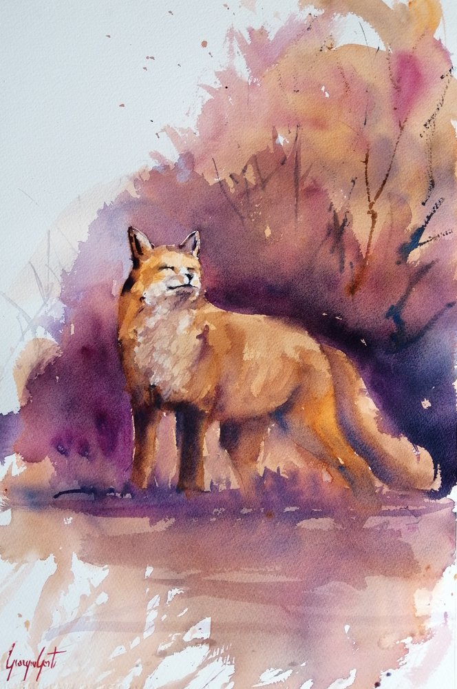 Renard des bois sereins - Giorgio Gosti