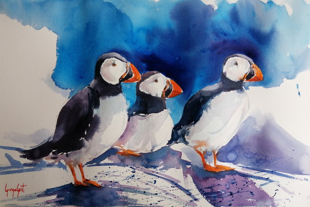 Aquarelle représentant trois macareux - Giorgio Gosti